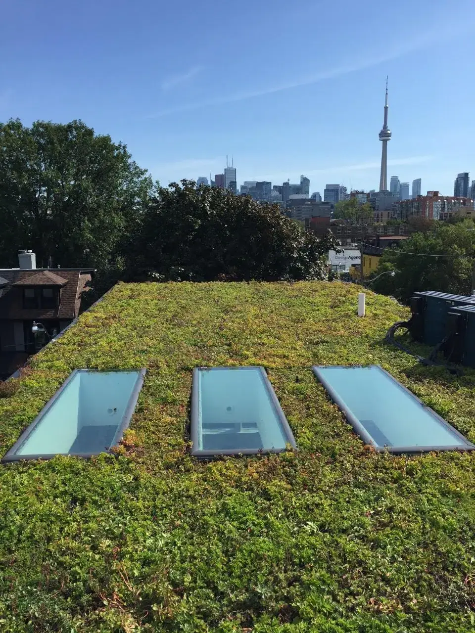 A green roof with low-growing vegetation and three rectangular skylights, overlooking the Toronto skyline and CN Tower.